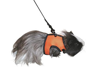 Kerbl Pet SPORT Kaninchengeschirr mit flexibler Leine – Bild 1 von 4