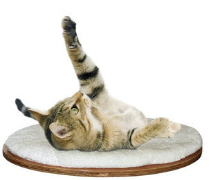 Produktbild von Kerbl Pet Wandliegebrett oval Dolomit - 1 Stk.