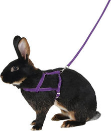 Kerbl Schultergeschirr Agility mit Leine - 2 m – Bild 1 von 4