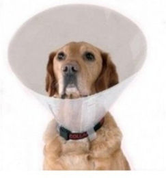 Produktbild von Kerbl Schutzkragen Hunde-Halskrause 20,00 cm