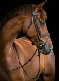 Kerbl Trensenzaum Classic Leder Vollblut Braun – Bild 1 von 11