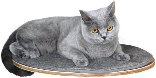 Produktbild von Kerbl Wandliegebrett Tofana oval grau