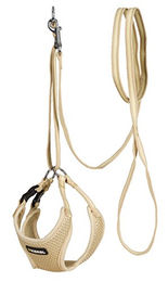 Kerbl Welpengeschirr mit Leine beige 30-50 cm - 1 Stk. – Bild 1 von 4