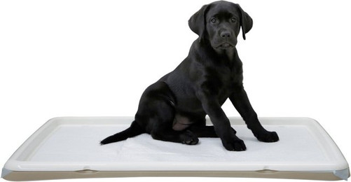 Produktbild von Kerbl Welpentoilette XL - 90 cm