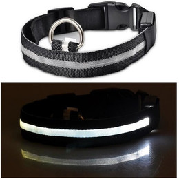 Produktbild von Kevin Frotscher LED Hundehalsband Leuchthalsband USB aufladbar Größe L