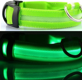 Produktbild von Kevin Frotscher LED Hundehalsband Leuchthalsband USB aufladbar Größe L Grün