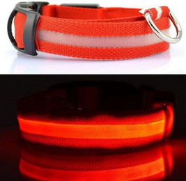 Produktbild von Kevin Frotscher LED Hundehalsband Leuchthalsband USB aufladbar Größe M Rot
