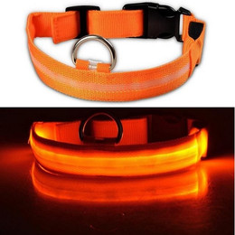 Produktbild von Kevin Frotscher LED Hundehalsband Leuchthalsband USB aufladbar Größe S Orange