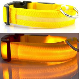 Produktbild von Kevin Frotscher LED Hundehalsband Leuchthalsband USB aufladbar XL