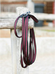 Kieffer Führleine Longierleine Anja Beran - 8 m – Bild 1 von 11