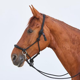 Produktbild von Kieffer Knotenhalfter K_Ruby mit Zügel Warmblut schwarz/weiß