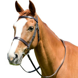 Kincade Flaches Zaumzeug mit Zügeln für Pferde Classic Leder Pony Braun – Bild 1 von 2