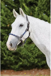 Kincade Lederhalfter für Pferde – Bild 1 von 9