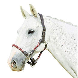 Kincade Lederseilhalfter – Bild 1 von 9