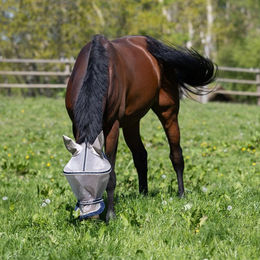 Produktbild von Kingsland KLLando Fliegenmaske