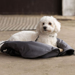 Produktbild von Kingsland KLMacey Hundetasche mit Decke
