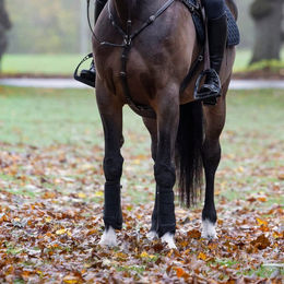 Produktbild von Kingsland KLMona Gamaschen