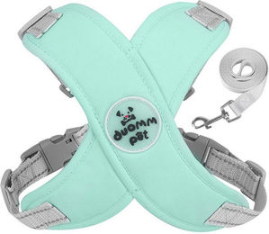 KINSI Hunde-Geschirr Hundegeschirr, Hundeweste mit Leine, Brustgeschirr für Haustiere, Geeignet für 6-10 kg Verstellbarer, reflektierender Hunde-Brustgurt – Bild 1 von 3