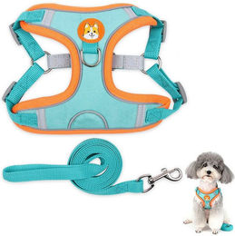 Produktbild von KINSI Hunde-Geschirr Hundeweste Hundegeschirr-Set für Kleine Hunde,Weiches&Atmungsaktives, Reflektierende Weste für Sicherheit bei Dunkelheit