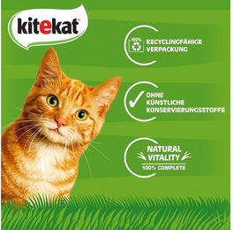 Kitekat KITEKAT™ Portionsbeutel Multipack Bunte Vielfalt in Sauce 4 x 12 x 85g, für: Katze – Bild 1 von 5