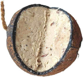 Produktbild von KLASEBO® Futterspender Wildvogelfutter, Vogelfutter Kokosnuss, Ganzjährig