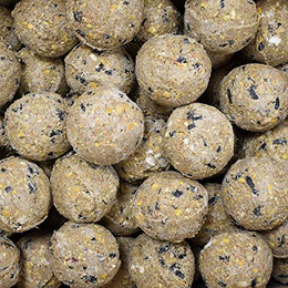 Produktbild von KLASEBO Meisenknödel Premium mit Insekten - 100 x 90 g
