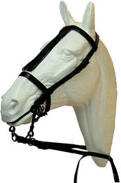 Produktbild von Klassisches Westernhalfter für Pferde Hispano Hipica