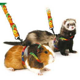 Produktbild von Kleintiergarnitur Comfort-Geschirr Art Joy - Gr.S (Ratten)