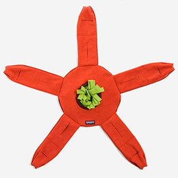 Produktbild von Knauder's Best Sniffstar Hundespielzeug