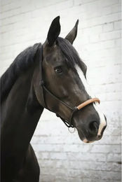 Produktbild von Knotenhalfter Pénélope