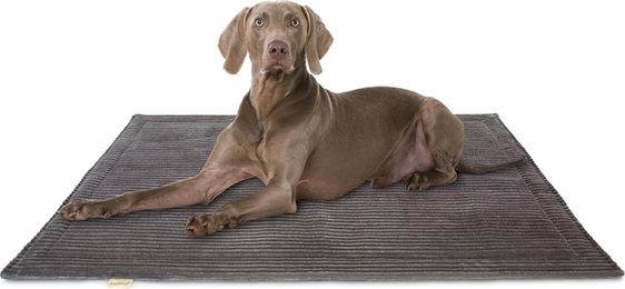 Knuffelwuff Cord Hundedecke Timor 140x100cm Braungrau – Bild 1 von 5