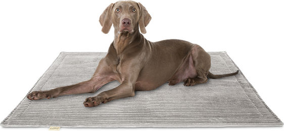 Knuffelwuff Cord Hundedecke Timor 140x100cm Hellgrau – Bild 1 von 5