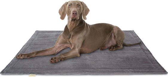 Knuffelwuff Cord Hundedecke Timor 80x60cm Grau – Bild 1 von 5