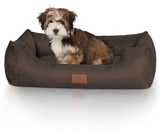 Produktbild von Knuffelwuff Hundebett Dreamline aus Velours Braun M-L