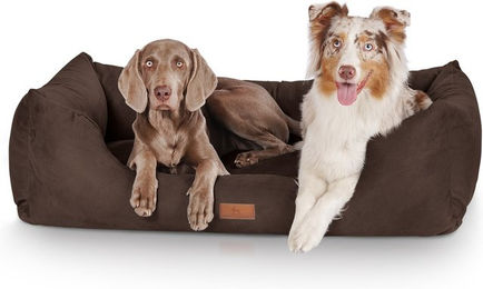 Knuffelwuff Hundebett Dreamline aus Velours Übergröße XXXL 155 x 105 cm Braun – Bild 1 von 5