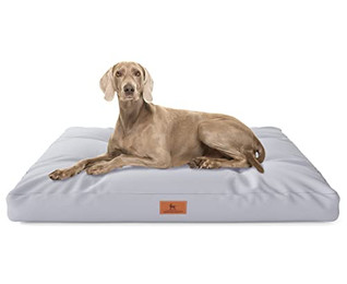 Produktbild von Knuffelwuff Hundekissen Gatsby aus Oxford-Gewebe