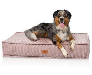 Produktbild von Knuffelwuff Hundekissen Lesedi aus Cord mit Handwebcharakter