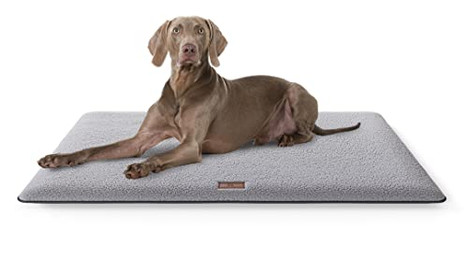 Produktbild von Knuffelwuff Hundematte Calliope aus Teddy Material 120x80cm Grau