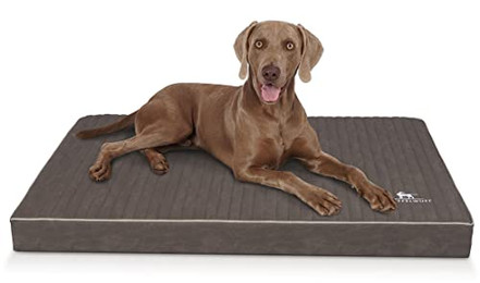 Produktbild von Knuffelwuff Hundematte Palomino Orthopädisch