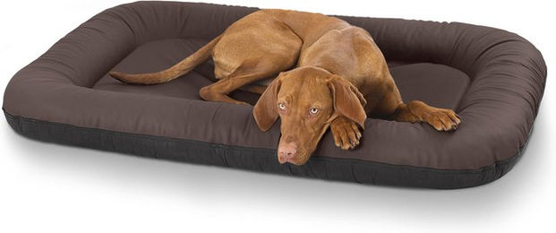 Knuffelwuff Kunstleder Hundebett Jerry Übergröße XXXL 140 x 105 Braun – Bild 1 von 3