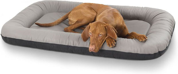 Knuffelwuff Kunstleder Hundebett Jerry XXL 120 x 85 Grau – Bild 1 von 3