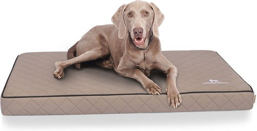 Produktbild von Knuffelwuff Orthopädische Hundematte Juna aus Kunstleder grau