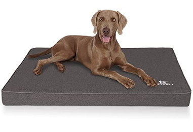 Produktbild von Knuffelwuff Orthopädische Hundematte Nantucket aus Velours