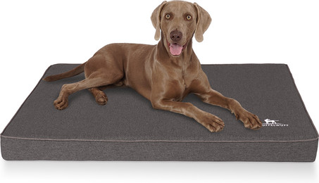 Produktbild von Knuffelwuff Orthopädische Hundematte Nantucket Velours anthrazit XXL