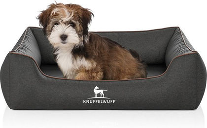 Produktbild von Knuffelwuff Orthopädisches Hundebett Amelie aus Velours M-L 85x63cm Schwarz