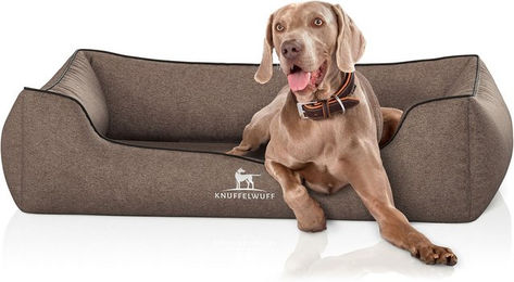 Produktbild von Knuffelwuff Orthopädisches Hundebett Amelie aus Velours XXL 120 x 85 cm Braun