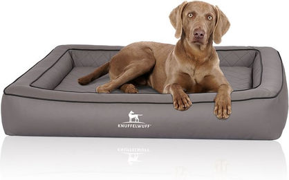 Knuffelwuff Orthopädisches Hundebett aus Kunstleder Hampstead grau M-L – Bild 1 von 3