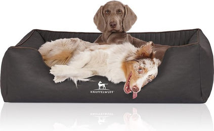 Knuffelwuff Orthopädisches Hundebett Columbia aus Kunstleder XL 105 x 75 cm Schwarz – Bild 1 von 4