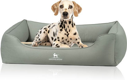 Knuffelwuff orthopädisches Hundebett Oliver aus pflegeleichtem Easy Clean Stoff in Wildlederoptik... – Bild 1 von 3