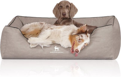 Knuffelwuff Orthopädisches Hundebett Rockland aus Kunstleder Übergröße XXXL – Bild 1 von 3